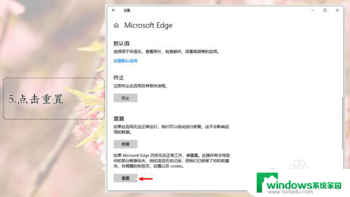 浏览器闪退win10 Win10 Edge浏览器闪退解决方法