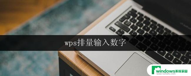 wps排量输入数字 wps排版输入数字