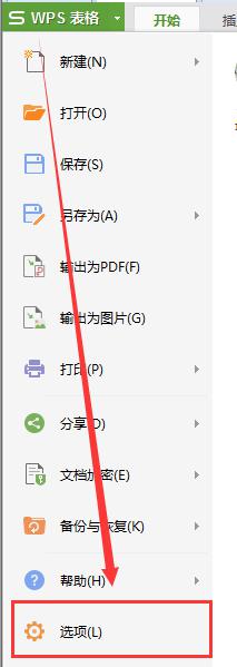 wps文件选项卡中没有选项命令怎么办 wps文件选项卡中没有选项命令怎么办