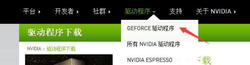 怎么打开英伟达显卡录制 如何在NVIDIA显卡上开启录像功能