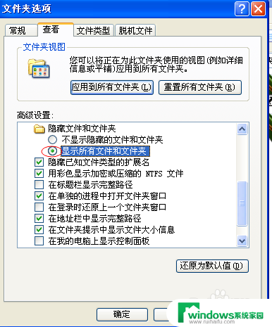 电脑怎么把单个图标隐藏起来 隐藏单个桌面图标的具体步骤