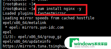 nginx怎么查看版本 如何确认Nginx的版本