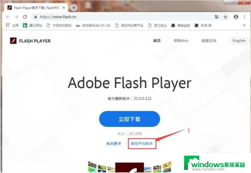 谷歌flash插件怎么安装 谷歌chrome浏览器如何安装flash插件