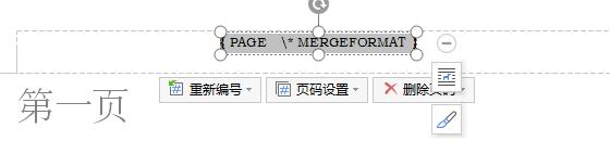 wps如何使用域 wps如何使用域名解析