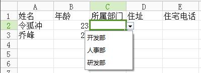 如何在wps2019表格中添加下拉选项 如何在wps2019表格中创建下拉选项