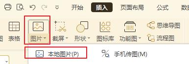 wps表格无法插入图片 wps表格无法插入图片怎么办