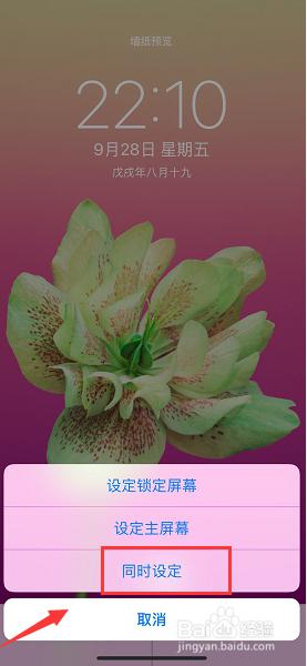 苹果xsmax怎么换壁纸 iPhone XS max壁纸修改步骤