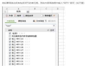 wps如何在表格中找名字 如何在wps表格中根据姓名找到对应行