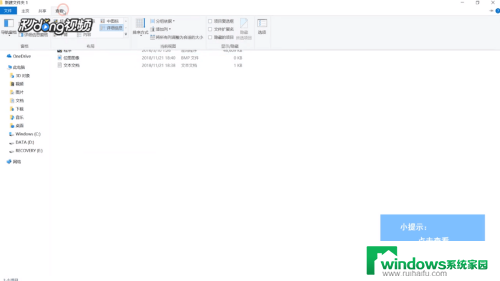怎么让文件显示文件类型 Win10文件类型显示问题