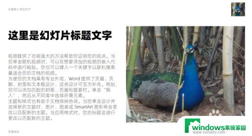 PPT播放可以不全屏吗？解决方案一网打尽！
