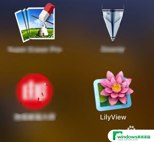 lilyview取消历史记录 LilyView软件使用指南