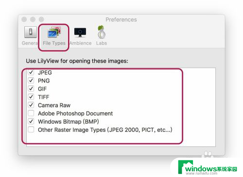 lilyview取消历史记录 LilyView软件使用指南