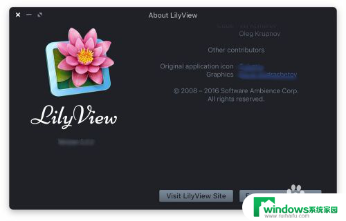 lilyview取消历史记录 LilyView软件使用指南