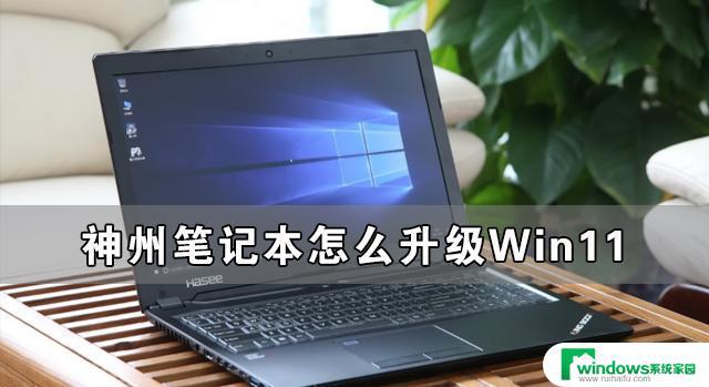 神舟战神z7m cu5b建议升级Windows 11吗？了解该款笔记本的兼容性与性能表现