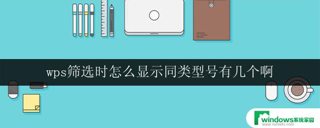 wps筛选时怎么显示同类型号有几个啊 wps筛选时同类型号的数量显示