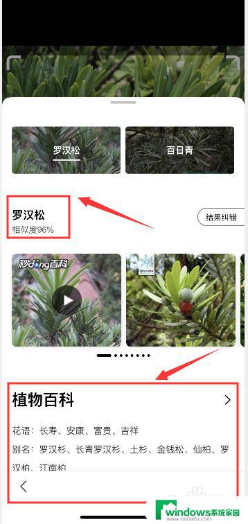 百度怎么识别植物 百度APP如何识别植物