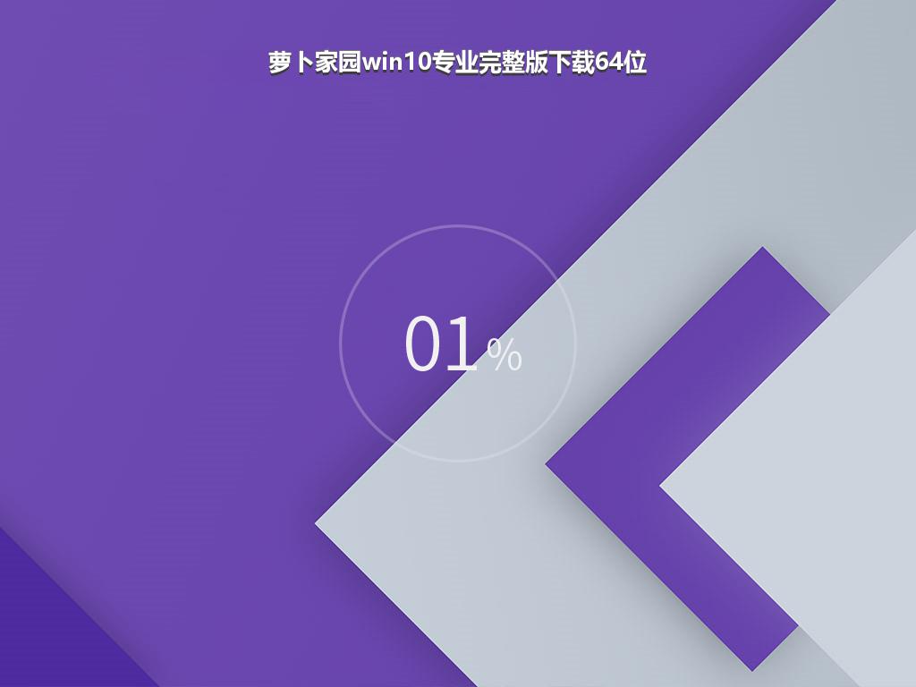 萝卜家园win10专业完整版下载64位