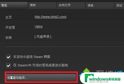 Steam国服启动项Dota2：如何设置并解决常见问题