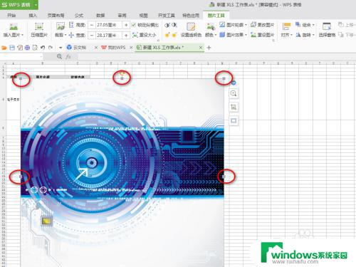 WPS表格里怎么添加图片？快速学习图片插入方法