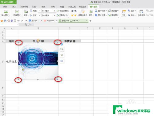 WPS表格里怎么添加图片？快速学习图片插入方法